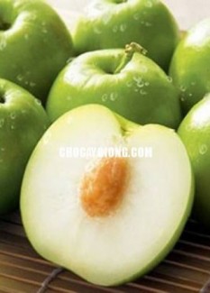 Bán giống táo D28, chuẩn giống, số lượng lớn, giao cây toàn quốc