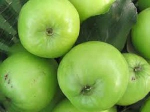 Bán giống táo D28, chuẩn giống, số lượng lớn, giao cây toàn quốc
