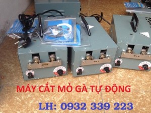 Ở đây bán máy cắt mỏ gà tự động giá cực rẻ, giao hàng toàn quốc