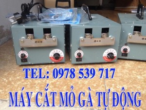 Máy cắt mỏ gà tự động, giá rẻ nhất vịnh bắc bộ