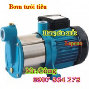 Máy bơm nước tưới tiêu