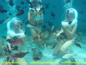 Tour Đi Bộ Dưới Biển Nha Trang