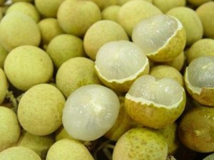 Chuyên cung cấp giống cây nhãn không hạt,nhãn không hột,nhãn không hạt,nhãn