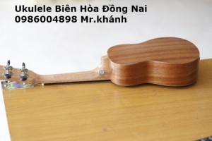 Nơi bán đàn ukulele giá rẻ
