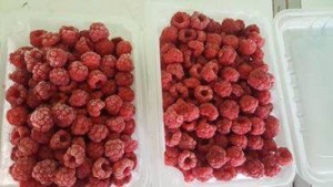 phúc bồn tử đông lạnh