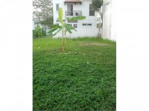 Chính chủ bán đất thị trấn Núi Thành, Quảng Nam. DT: 140m2. Gía: 450 triệu.