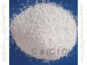 Chlorine Ấn Độ