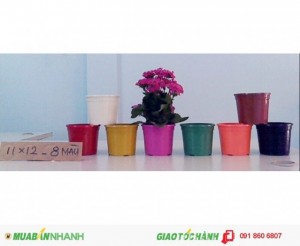 Công ty THAKICO - Sản xuất các loại Chậu Kiểng các loại