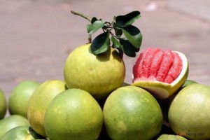 Cây giống bưởi da xanh, cam kết chất lượng, số lượng lớn, giao cây toàn quốc.