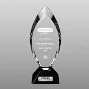 Cơ sở sản xuất biểu trưng phale, thủy tinh giá rẻ tại đà nẵng