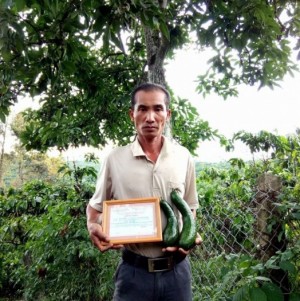 ÔNG NGUYỄN VĂN DẬU VÀ CÂY BƠ ĐẦU DÒNG 034
Năm 2009 được phòng nông nghiệp huyện bảo lâm và trung tâm nghiên cứu chuyển giao kĩ thuật cây ăn quả tỉnh lâm đồng mời ông NGUYỄN VĂN DẬU đi thi cuộc thi cây bơ năng suất cao chất lượng tốt của tỉnh LÂM ĐỒNG.