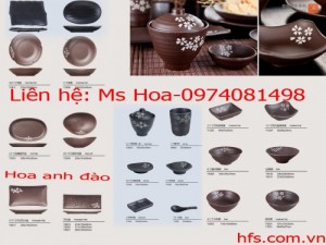 Bát đĩa lẩu nướng BBQ, bát đĩa nhật bản hàn quốc