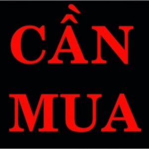 Cần Mua Gấp Nhiều Nhà Mặt Tiền Ở Tp.HCM