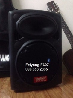 Loa kéo di động Feiyang F607 bass 25cm