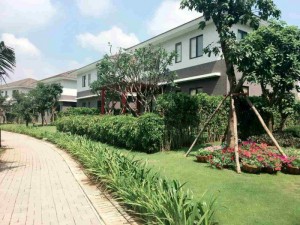Biệt thự compound chất lượng Nhật Valora Fuji cần bán giá rẻ