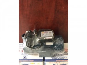 Máy bơm nước Selton ST-17