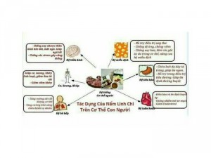 Cafe giảm cân