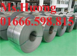 Thép cuộn/ đai cuộn đàn hồi 65mn(gb) giá tốt