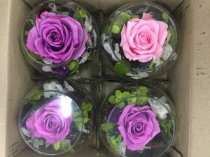 hoa hồng bất tử lọ thủy tinh 1 bông