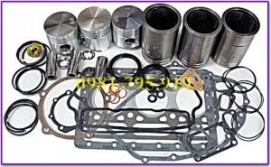 Bộ hơi- Gioăng- Piston-Xec măng