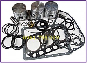 Bộ hơi- Gioăng- Piston-Xec măng