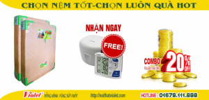 DÙNG NỆM-SOFA VIOLET TỐT NHẤT CHO SỨC KHỎE & MANG LẠI HẠNH PHÚC GIA ĐÌNH BẠN