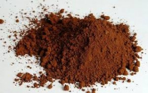 Bào tử nấm linh chi Trường Sinh 50g