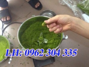 Máy xay hạt ngũ cốc, bột gạo