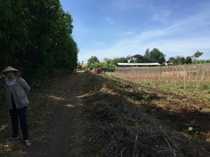 Bán đất trung tâm huyện đất đỏ