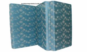 Nệm PE Hàn Quốc (1m6 2m 10cm). Giá khuyến mãi: 499