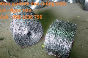 Dây thép gai - dây kẽm gai chống trộm giá tốt nhất