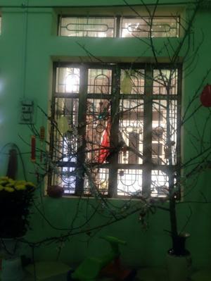 Cần bán nhà tại thanh hoá