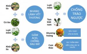 Điều trị đau dạ dày bằng thảo dược hiệu quả, an toàn.