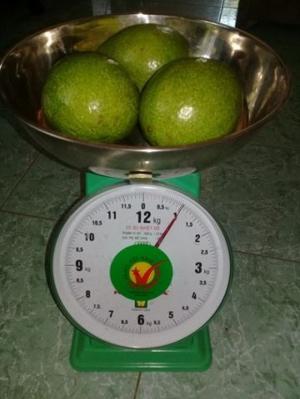 Bơ nhà ngon và chất lượng đây ah, bao ngon nhé