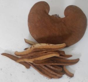 Nấm linh chi đỏ cắt lát nguyên bào tử Trường Sinh (500g)