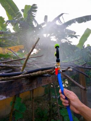 phun thuốc sâu thì trên cả tuyệt vời