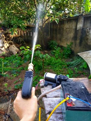 dùng súng phun tưới cây rất tuyệt vời