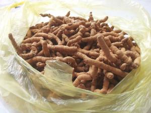 Củ Ba Kích tươi