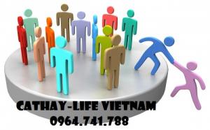 Tuyển dụng Quản lý kinh doanh, Bảo hiểm nhân thọ Cathay Việt Nam Quận 1,