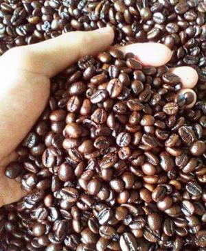Cà phê sạch nguyên chất Robusta