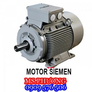 Cung cấp motor các loại nhập khẩu tại TPHCM​