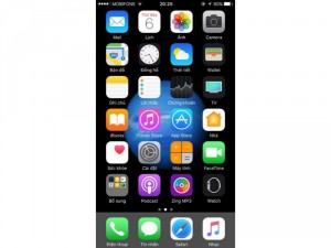 IPhone 6 plus 64GB màu gray