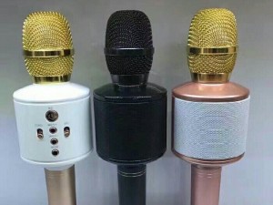 Mic Bluetooth Karaoke Q8