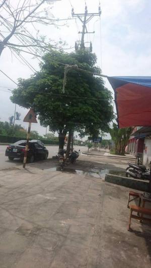 Bán nhà xưởng đường Phạm Văn Đồng- Dương Kinh, DT 750m2, Hướng Đông Nam, Giá 2 tỷ