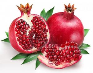 Cung cấp cây lựu, cây lựu quả, cây lựu hoa, lựu quả đỏ, cây lựu trưởng thành chất lượng