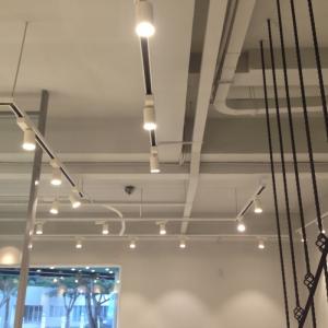 LED THANH RAY