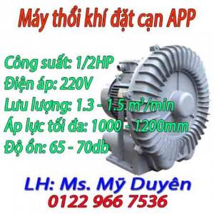 Máy thổi khí đặt cạn APP RB-400S 1/2 HP