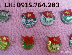 huy hiệu đoàn