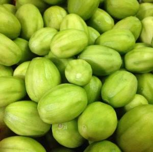 Cóc thái, cây cóc thái, giống cóc thái, cây giống cóc thái, số lượng lớn, giao cây toàn quốc