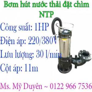 Bơm chìm hút nước thải NTP